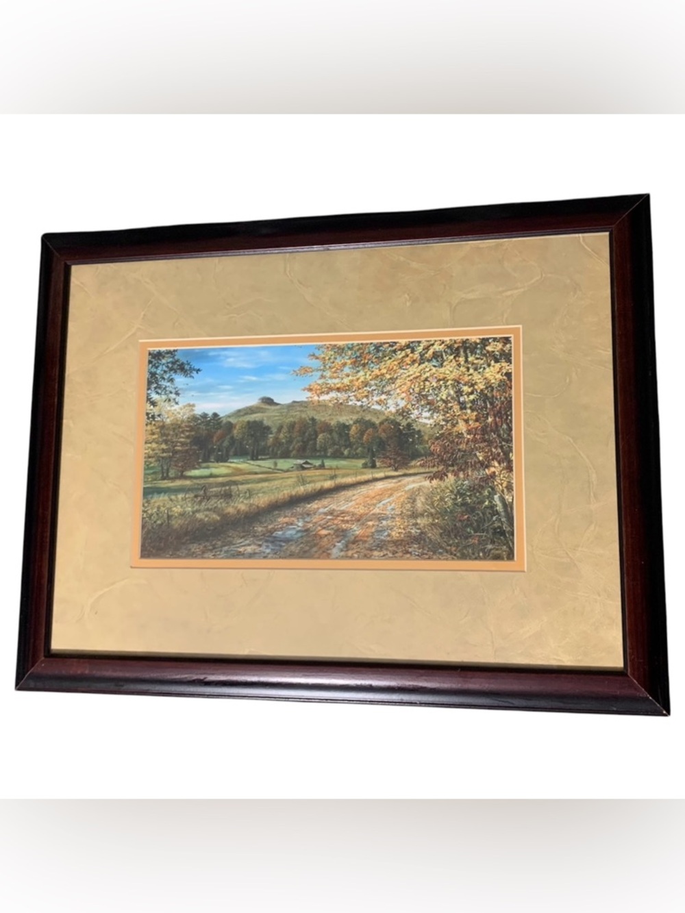 Vintage Tim Bruce Framed Pilot Mountain Autumn Landscape Print
